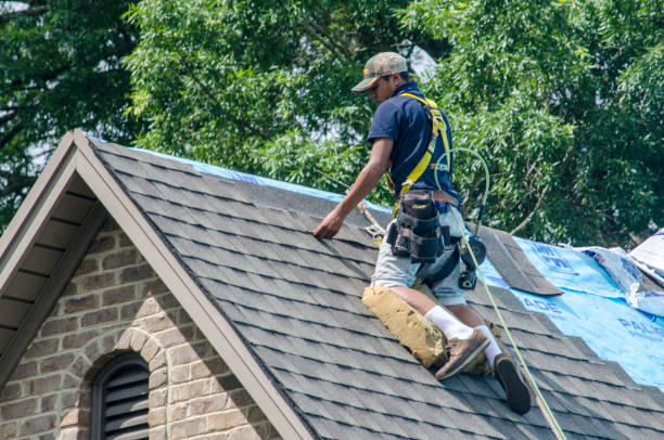 Professional Roofing Contractor in Clarendon Hills, IL